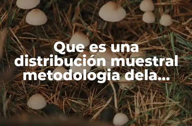 Que es una Distribución Muestral Metodologia Dela Investigacion