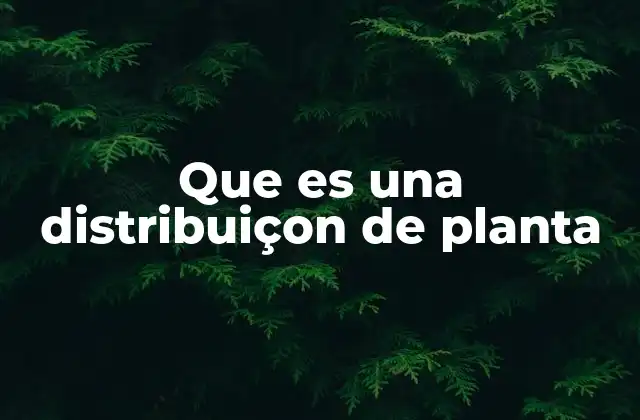 La importancia de una buena distribución en la operación industrial