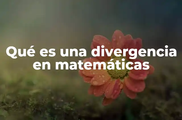 Qué es una Divergencia en Matemáticas
