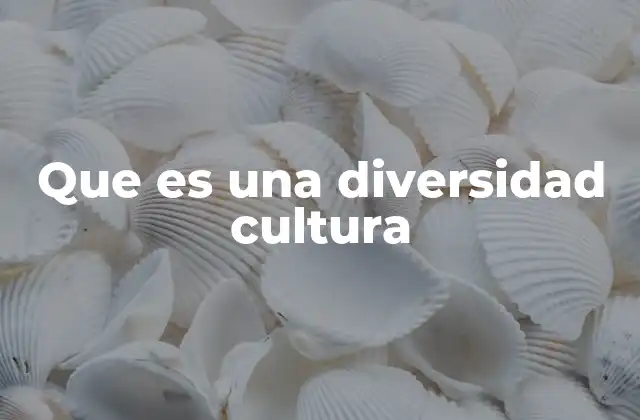 Que es una Diversidad Cultura