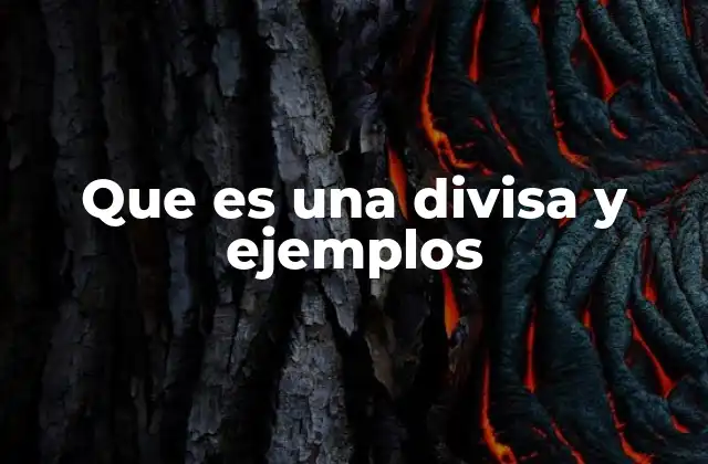 Que es una Divisa y Ejemplos