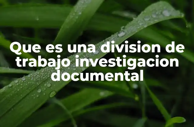 Que es una Division de Trabajo Investigacion Documental