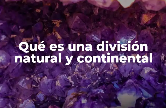 Qué es una División Natural y Continental