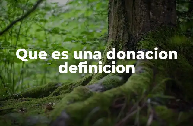 Que es una Donacion Definicion 2 El rol de las donaciones en la sociedad