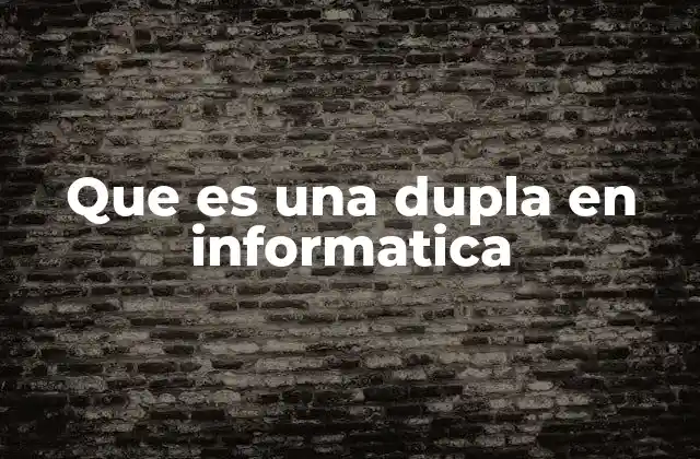 Que es una Dupla en Informatica