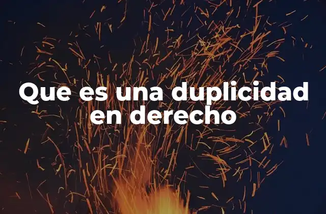 Que es una Duplicidad en Derecho