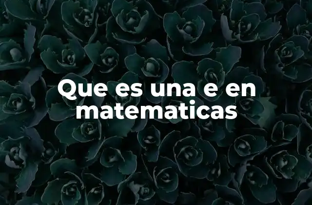Que es una e en Matematicas
