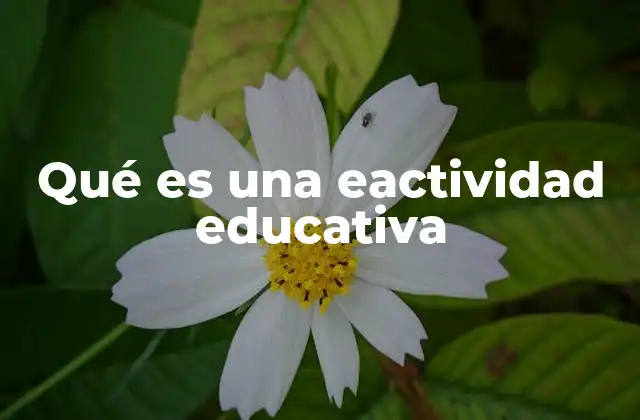 Qué es una Eactividad Educativa 2 El auge de la educación digital y el surgimiento de las eactividades