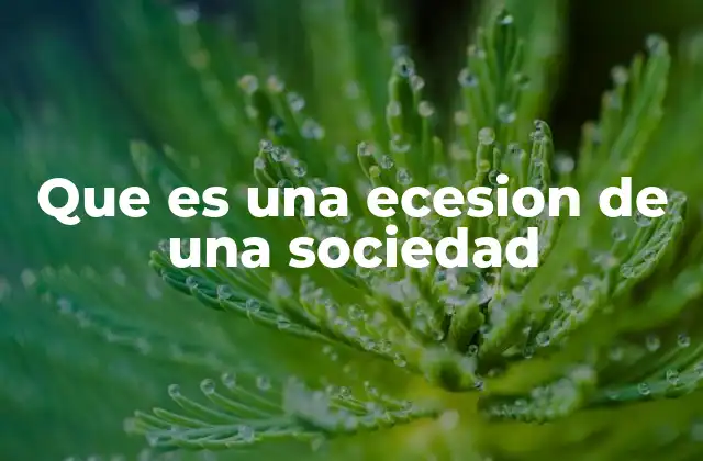 Que es una Ecesion de una Sociedad