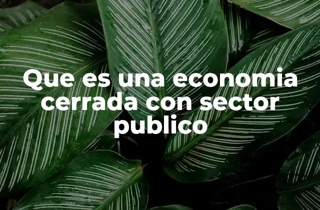 Características de una economía con control estatal