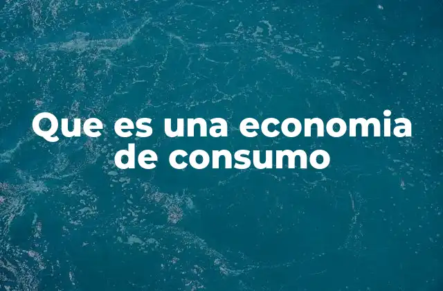Que es una Economia de Consumo