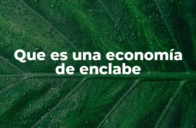 Que es una Economía de Enclabe