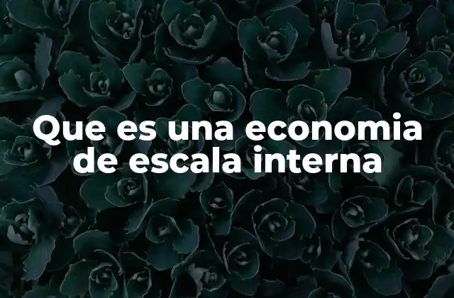 Que es una Economia de Escala Interna