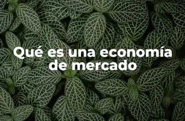 Qué es una Economía de Mercado