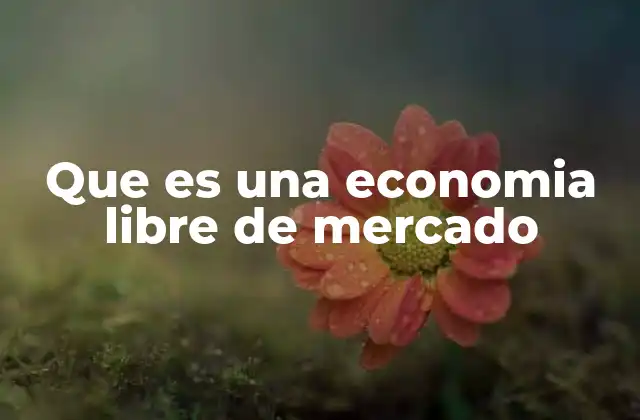 Que es una Economia Libre de Mercado