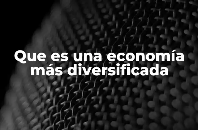 Que es una Economía Más Diversificada