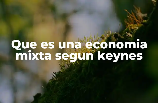 Que es una Economia Mixta Segun Keynes