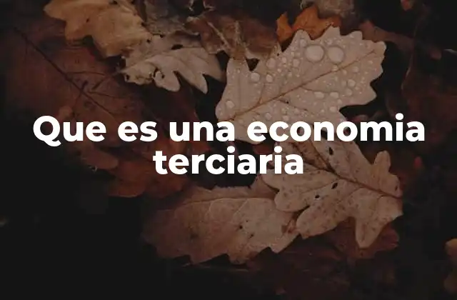 Que es una Economia Terciaria 2 La evolución del sector terciario en la historia