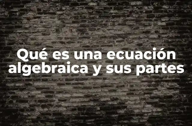 Qué es una Ecuación Algebraica y Sus Partes