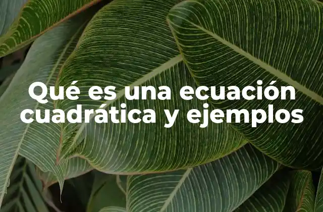 Qué es una Ecuación Cuadrática y Ejemplos
