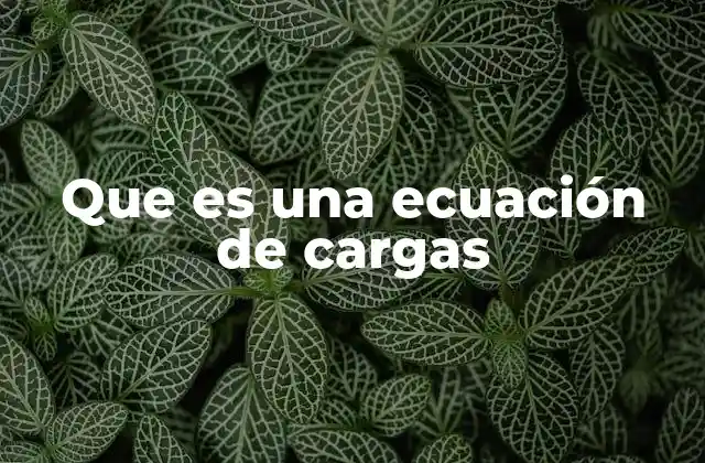Que es una Ecuación de Cargas