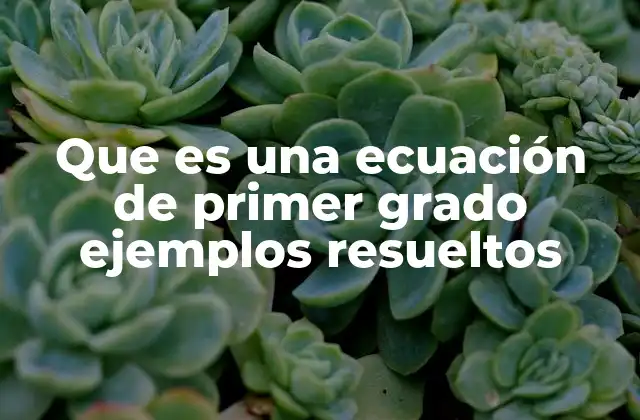 Que es una Ecuación de Primer Grado Ejemplos Resueltos