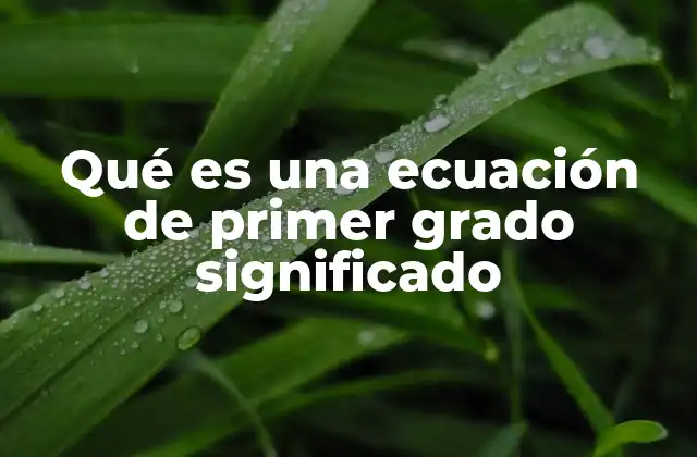 Qué es una Ecuación de Primer Grado Significado