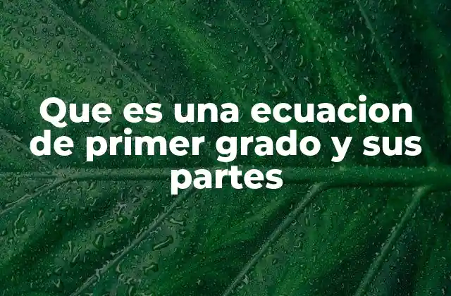 Que es una Ecuacion de Primer Grado y Sus Partes