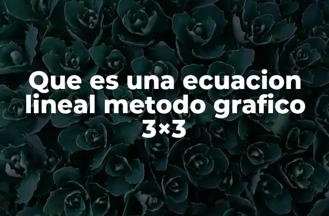 Que es una Ecuacion Lineal Metodo Grafico 3×3