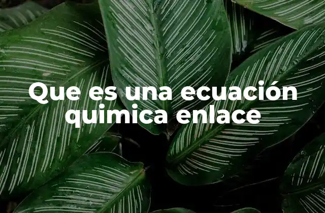 Que es una Ecuación Quimica Enlace