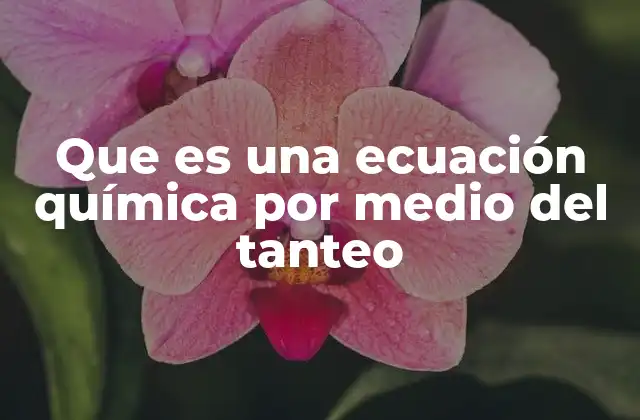 Que es una Ecuación Química por Medio Del Tanteo