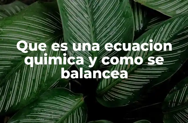 Que es una Ecuacion Quimica y como Se Balancea