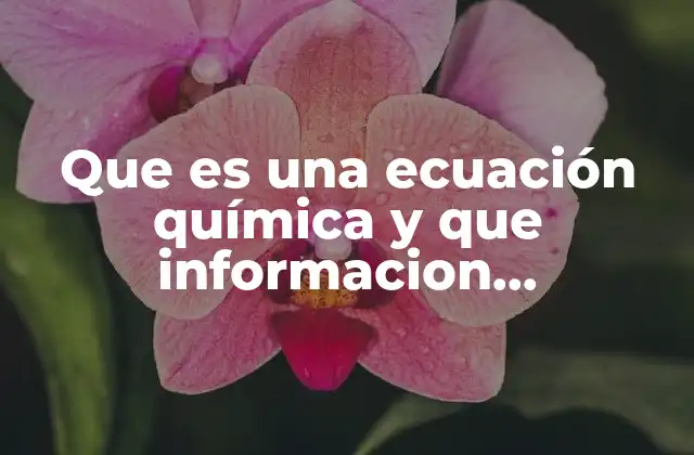 Que es una Ecuación Química y que Informacion Proporciona