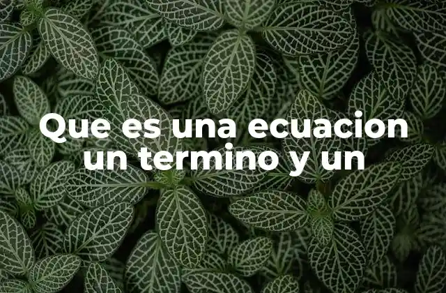 Que es una Ecuacion un Termino y un