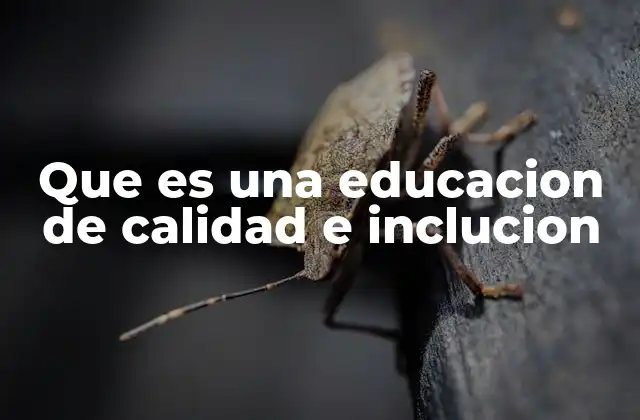 Que es una Educacion de Calidad e Inclucion