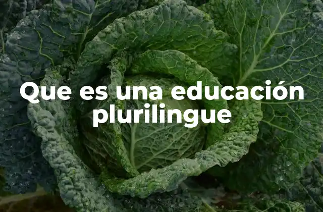 Que es una Educación Plurilingue