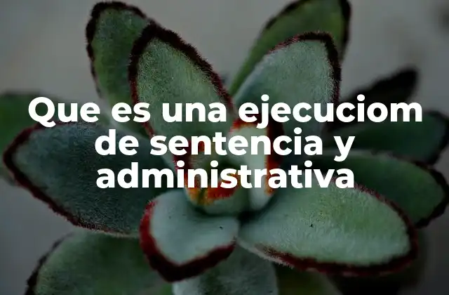 Que es una Ejecuciom de Sentencia y Administrativa