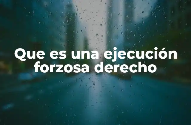 Que es una Ejecución Forzosa Derecho