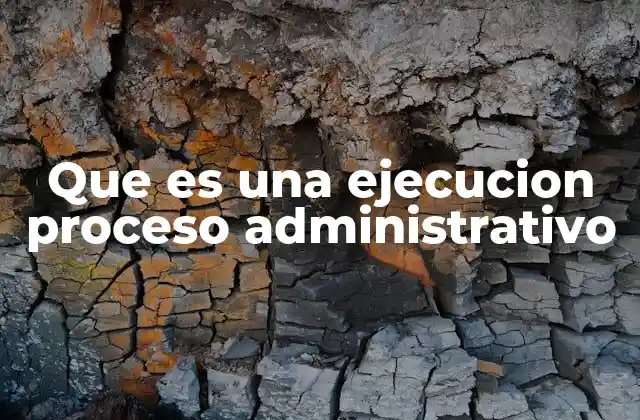 Que es una Ejecucion Proceso Administrativo 2 La importancia de la ejecución en la administración pública