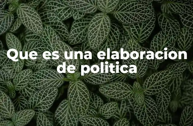 Que es una Elaboracion de Politica