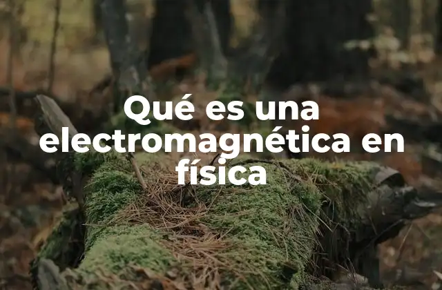Qué es una Electromagnética en Física