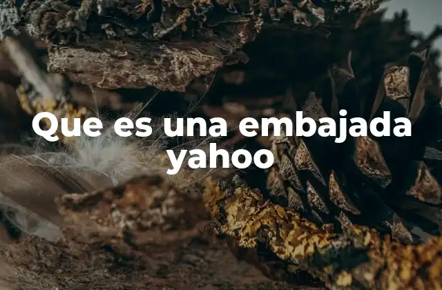 Que es una Embajada Yahoo 2 La confusión entre instituciones diplomáticas y empresas tecnológicas