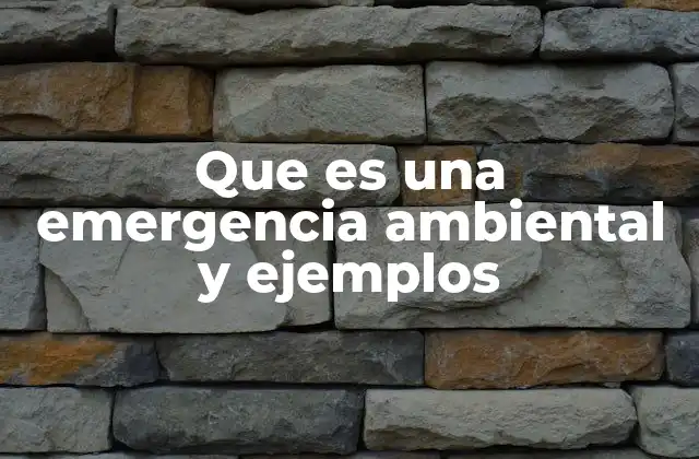Que es una Emergencia Ambiental y Ejemplos