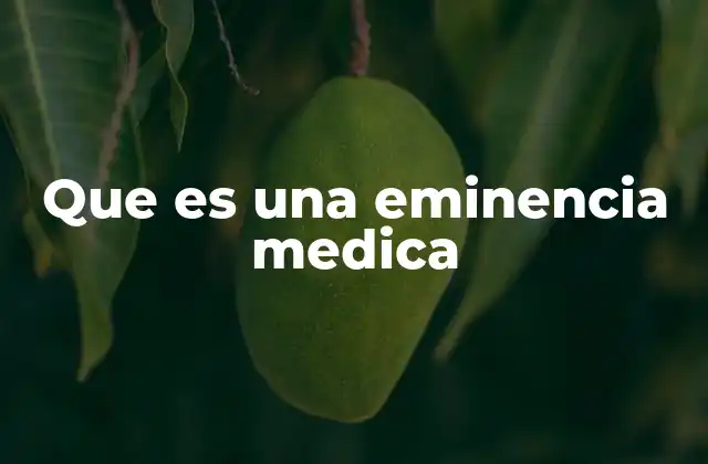 Que es una Eminencia Medica