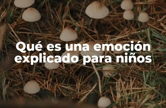 Qué es una Emoción Explicado para Niños