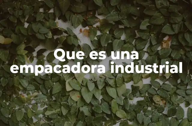 Que es una Empacadora Industrial