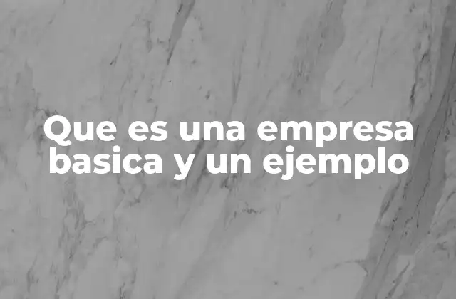 Que es una Empresa Basica y un Ejemplo