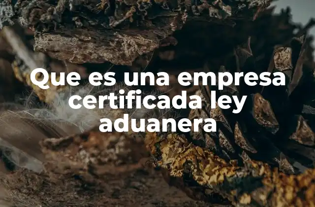 Que es una Empresa Certificada Ley Aduanera 2 El rol estratégico de las empresas certificadas en el comercio internacional