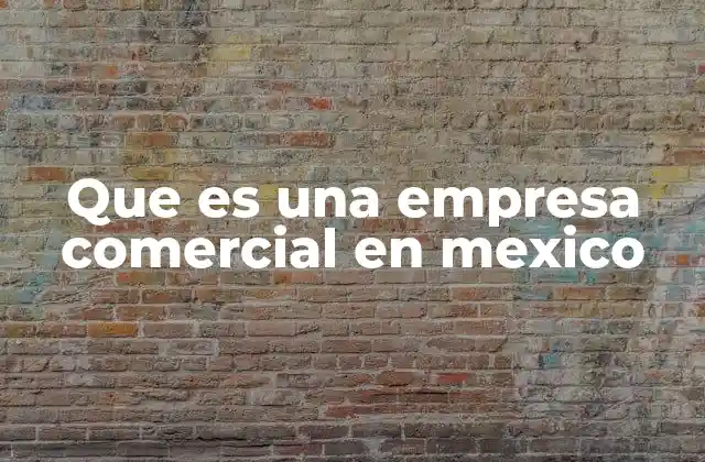 Que es una Empresa Comercial en Mexico