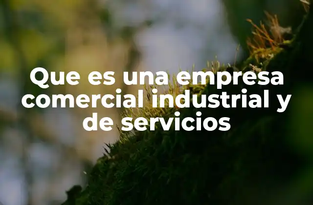 Que es una Empresa Comercial Industrial y de Servicios